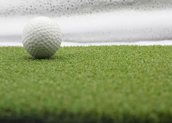 Haute densité synthétique bicolore de Mini Golf Artificial Grass 15mm