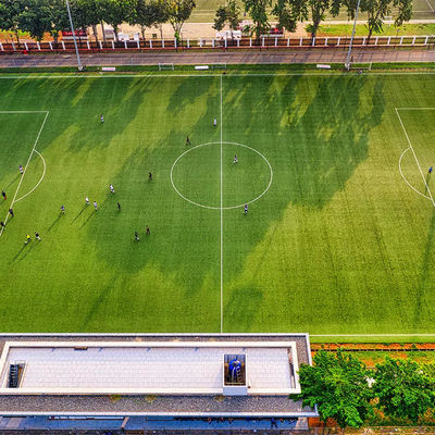 herbe synthétique du football extérieur artificiel d'école de PE de 50mm