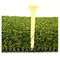Herbe artificielle de pièce en t de monofilament de golf bouclé de gazon 40mm