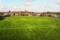 Terrain de football artificiel de gazon d'herbe artificielle du football du PE 50mm