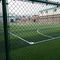 gazon synthétique artificiel du football d'herbe du football de 50mm