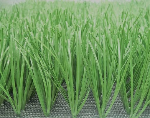 Tapis artificiel artificiel de lancement de cricket du base-ball 50mm d'herbe du football de nard indien
