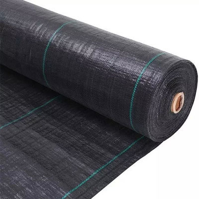 Accessoires artificiels noirs d'herbe