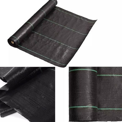 Accessoires artificiels noirs d'herbe