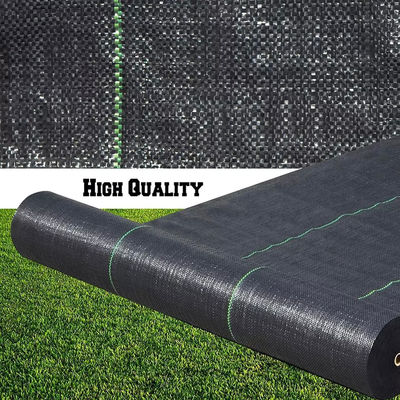 Accessoires artificiels noirs d'herbe