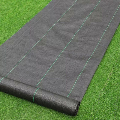 Accessoires artificiels noirs d'herbe
